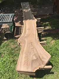English Walnut